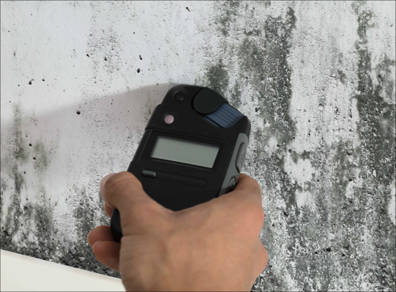 a man holding a device near a mold infested wall